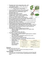 Конспект 'Šūnu uzbūve un procesi šūnā', 23.