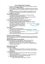 Конспект 'Šūnu uzbūve un procesi šūnā', 24.