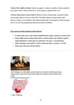 Реферат 'Aktuālās vides problēmas Latvijā un pasaulē, kas saistītas ar ķīmiju', 25.