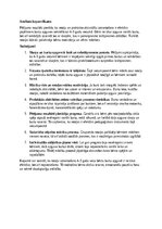 Конспект 'Burtu apguves veicināšana 4–5 gadu vecumā', 7.