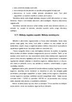Отчёт по практике 'Biroja darba organizācija', 99.