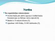 Презентация 'Organizācijas tēla analīze: Nordea piemērs', 8.