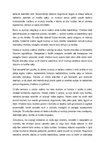 Эссе 'Cilvēka skeleta, muskuļu un locītavu sistēmu anatomija un dzimumu atšķirības', 2.