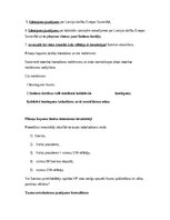 Конспект 'Pilsoņu kopuma tiesības un Satversmes tiesas process', 3.