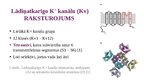 Презентация 'Lādiņatkarīgie K+ jonu kanāli', 2.