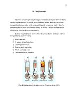 Дипломная 'Elektrotransporta attīstības potenciāls Latvijā', 12.