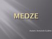 Презентация 'Medze', 1.