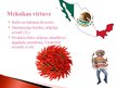 Презентация 'Meksikas kultūra', 3.