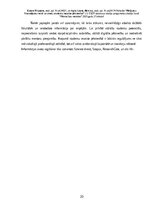 Реферат 'Pētījumu finansējumu veidi un avoti, studentu iesaiste pētniecībā', 20.