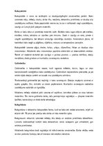 Реферат 'Amatniecība un mājturība', 3.