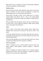 Реферат 'Amatniecība un mājturība', 5.