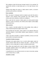 Реферат 'Amatniecība un mājturība', 7.