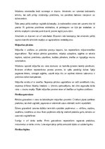 Реферат 'Amatniecība un mājturība', 8.