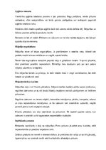 Реферат 'Amatniecība un mājturība', 11.