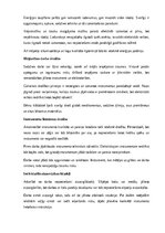 Реферат 'Amatniecība un mājturība', 13.