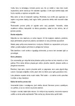 Реферат 'Amatniecība un mājturība', 18.