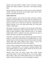 Реферат 'Amatniecība un mājturība', 23.