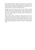 Реферат 'Amatniecība un mājturība', 24.