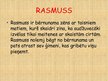 Презентация 'Astrida Lindgrēne "Rasmuss - klaidonis"', 3.