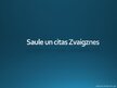 Презентация 'Saule un citas Zvaigznes', 1.