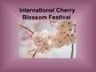 Презентация 'International Cherry Blossom Festival', 1.