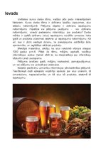 Презентация 'Dzērienu īpašību izpausmes alus etiķešu noformējumā', 15.