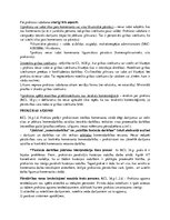 Конспект 'Prokūra un parastā komercpilnvara', 2.