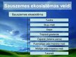 Презентация 'Sauszemes un ūdens ekosistēma', 9.