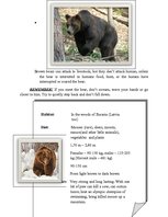 Конспект 'Eurasian Brown Bear', 2.
