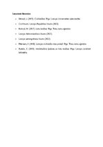 Эссе 'Lietu tiesību jēdziens', 7.