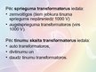 Презентация 'Transformatori', 10.