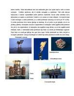 Конспект 'Naftas platformas un to katastrofas', 2.