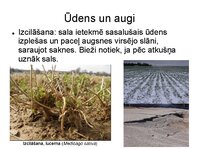 Презентация 'Augu bioloģija', 6.