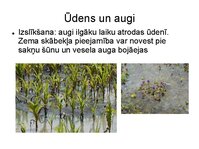 Презентация 'Augu bioloģija', 7.