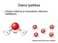 Презентация 'Augu bioloģija', 11.