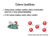Презентация 'Augu bioloģija', 12.