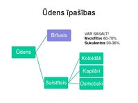 Презентация 'Augu bioloģija', 13.