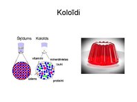Презентация 'Augu bioloģija', 14.
