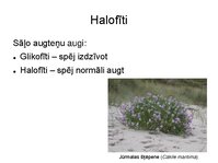 Презентация 'Augu bioloģija', 20.