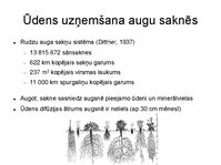 Презентация 'Augu bioloģija', 29.