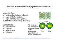 Презентация 'Augu bioloģija', 42.