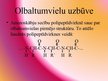 Презентация 'Olbaltumvielas', 9.
