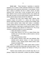 Дипломная 'IK "Svitenes aptieka" darbības analīze un attīstības iespējas', 30.