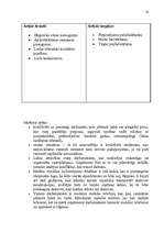 Реферат 'Uzņēmuma SIA „DLV transports” mārketinga vides un stratēģijas analīze un darbība', 16.