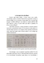 Реферат 'Vieglbetoni un to veidi', 10.