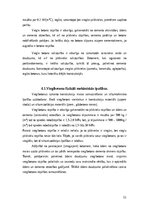 Реферат 'Vieglbetoni un to veidi', 11.