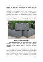 Реферат 'Vieglbetoni un to veidi', 22.