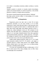 Реферат 'Vieglbetoni un to veidi', 24.