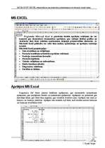 Реферат 'MS Excel pielietošana matemātikas, ekonomikas un finanšu uzdevumos', 4.