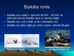 Презентация 'Baikāla ezers', 6.